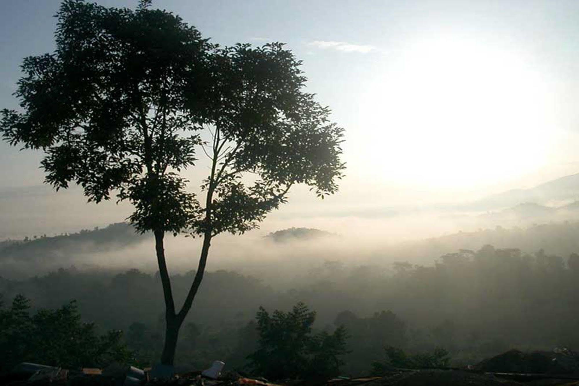 Chiang Rai Valley Resort @Doi Hom Fha Mecsan Kültér fotó